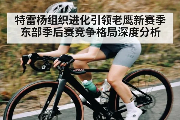 特雷杨组织进化引领老鹰新赛季 东部季后赛竞争格局深度分析
